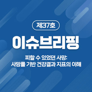 이슈브리핑 37호